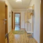 Vilux With Indoor Private Parking Apartament *