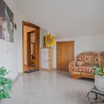 Vilux With Indoor Private Parking * Braşov