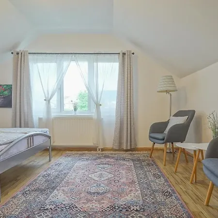 Vilux With Indoor Private Parking * Brašov