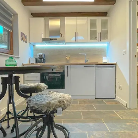 Apartmán Vilux With Indoor Private Parking Brašov