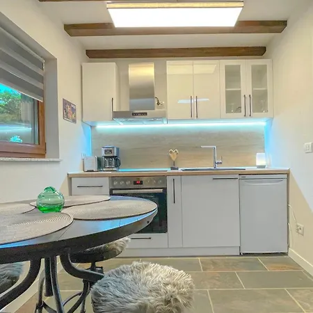 Vilux With Indoor Private Parking Apartment Brasov