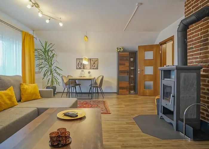 Vilux With Indoor Private Parking Brasov