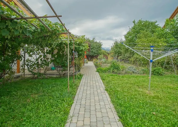 Vilux With Indoor Private Parking Apartament *