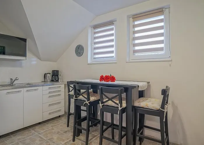 Apartament Vilux With Indoor Private Parking *