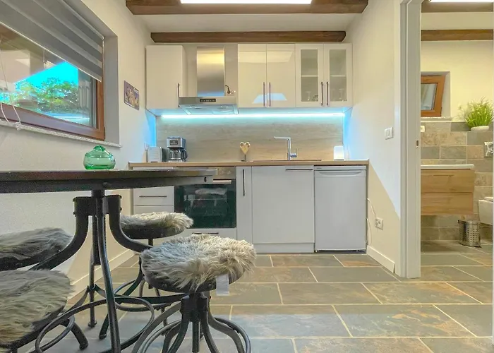 Apartment Vilux With Indoor Private Parking Brasov